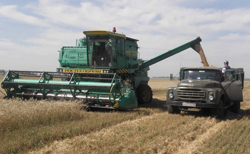В Оренбургской области – большой урожай зерна
